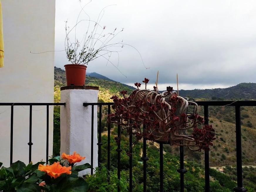 Posada Puente Romano Sedella Ngoại thất bức ảnh